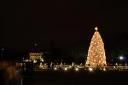 National Tree with the White House