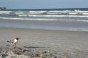 Jacksonville Beach